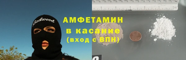 индика Михайлов
