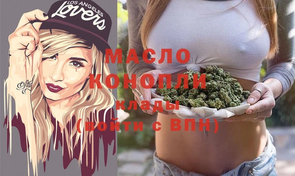 индика Михайлов