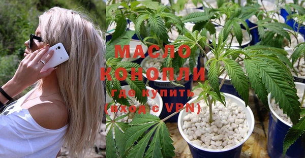 индика Михайлов