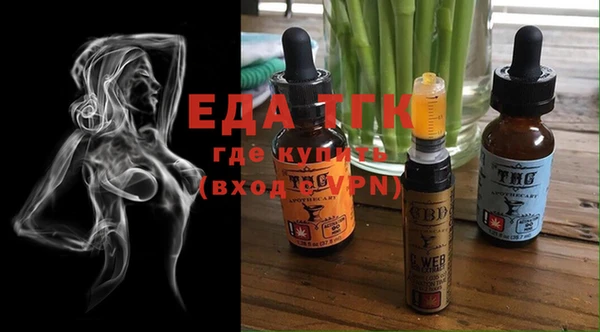 индика Михайлов