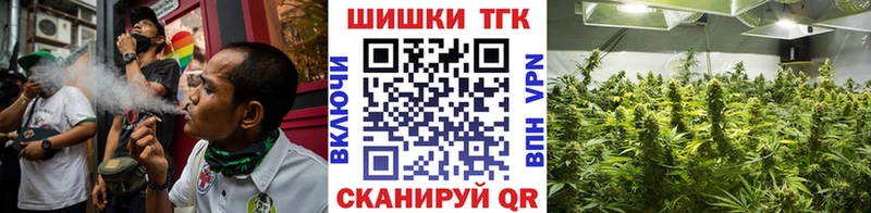мега как зайти  Кирсанов  Конопля марихуана 